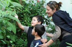 Foto de la galería: Parque Tematico Cruz de Santa Ana