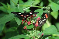 Foto de la galería: Parque Tematico Cruz de Santa Ana
