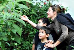 Foto de la galería: Parque Tematico Cruz de Santa Ana