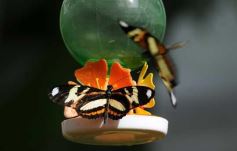 Foto de la galería: Parque Tematico Cruz de Santa Ana