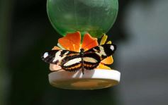 Foto de la galería: Parque Tematico Cruz de Santa Ana