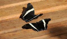 Foto de la galería: Parque Tematico Cruz de Santa Ana