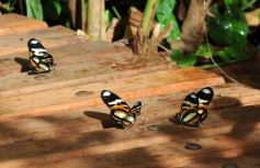 Foto de la galería: Parque Tematico Cruz de Santa Ana