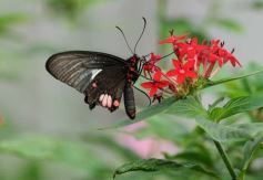 Foto de la galería: Parque Tematico Cruz de Santa Ana