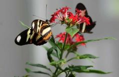 Foto de la galería: Parque Tematico Cruz de Santa Ana