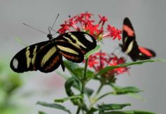 Foto de la galería: Parque Tematico Cruz de Santa Ana