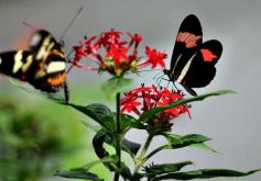 Foto de la galería: Parque Tematico Cruz de Santa Ana