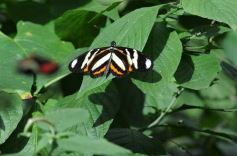 Foto de la galería: Parque Tematico Cruz de Santa Ana