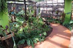 Foto de la galería: Parque Tematico Cruz de Santa Ana