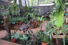 Foto de la galería: Parque Tematico Cruz de Santa Ana