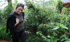 Foto de la galería: Parque Tematico Cruz de Santa Ana