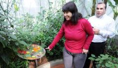 Foto de la galería: Parque Tematico Cruz de Santa Ana