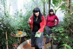 Foto de la galería: Parque Tematico Cruz de Santa Ana