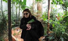 Foto de la galería: Parque Tematico Cruz de Santa Ana