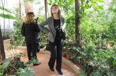 Foto de la galería: Parque Tematico Cruz de Santa Ana