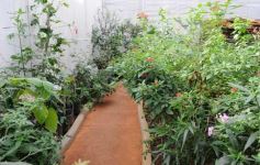 Foto de la galería: Parque Tematico Cruz de Santa Ana