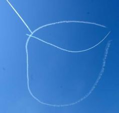Foto de la galería: Festival aéreo en el Aeroclub Posadas