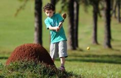 Foto de la galería: Última jornada de la instancia clasificatoria