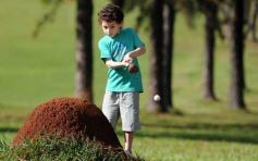 Foto de la galería: Última jornada de la instancia clasificatoria
