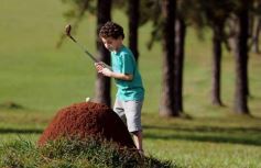 Foto de la galería: Última jornada de la instancia clasificatoria