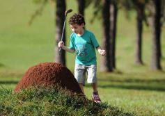 Foto de la galería: Última jornada de la instancia clasificatoria