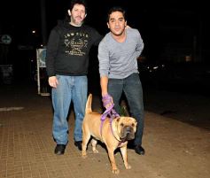 Foto de la galería: Paseos y trabajos en Posadas