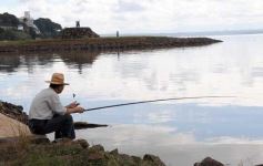 Foto de la galería: Paseos y trabajos en Posadas