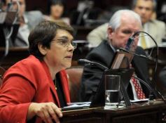 Foto de la galería: La Legislatura provincial aprobó la Ley de tenencia de tierras