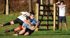 Foto de la galería: Capri 29-Taraguy 19