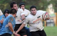 Foto de la galería: Capri 29-Taraguy 19