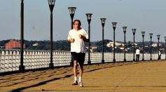 Foto de la galería: Paseos y trabajos en Posadas