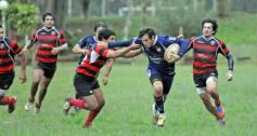Foto de la galería: Capri 18-San Patricio 22