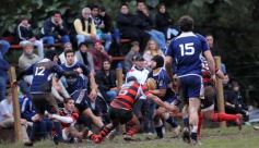 Foto de la galería: Capri 18-San Patricio 22