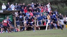 Foto de la galería: Capri 18-San Patricio 22