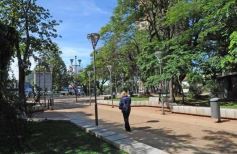Foto de la galería: Paseo y trabajos en Posadas