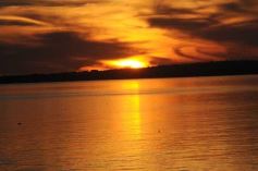 Foto de la galería: Paseo y trabajos en Posadas