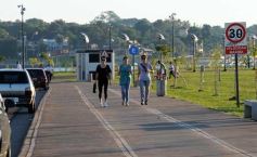 Foto de la galería: Paseo y trabajos en Posadas