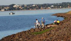 Foto de la galería: Paseo y trabajos en Posadas