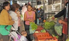 Foto de la galería: Paseos y trabajos en Posadas