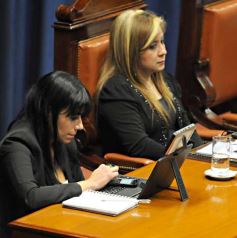 Foto de la galería: Aprobaron ley sobre tierra en Gobernador Roca