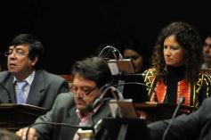 Foto de la galería: Aprobaron ley sobre tierra en Gobernador Roca