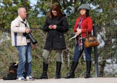 Foto de la galería: Un sol para los chicos en Posadas