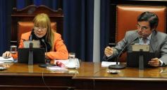 Foto de la galería: Proponen incorporar la enseñanza de la lengua de señas a la educación primaria