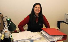 Foto de la galería: Paseo y trabajos en Posadas