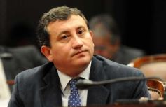 Foto de la galería: 15 años de las ferias francas