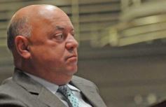 Foto de la galería: 15 años de las ferias francas