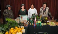 Foto de la galería: 15 años de las ferias francas