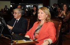 Foto de la galería: Se presentó el Parlamento Estudiantil 3.0