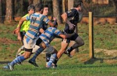 Foto de la galería: Despedidas con festejos para Capri