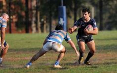 Foto de la galería: Despedidas con festejos para Capri